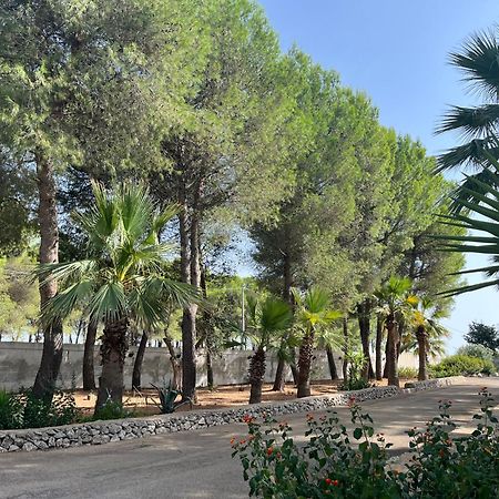 Casette Masseria La Camardia Sava Eksteriør billede
