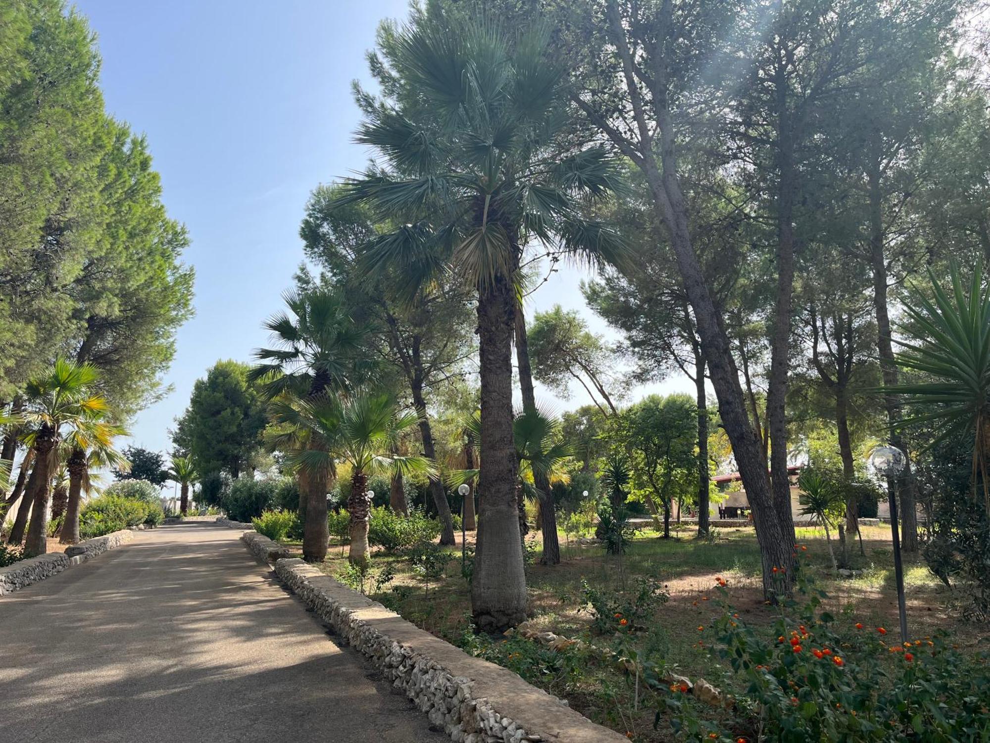 Casette Masseria La Camardia Sava Eksteriør billede