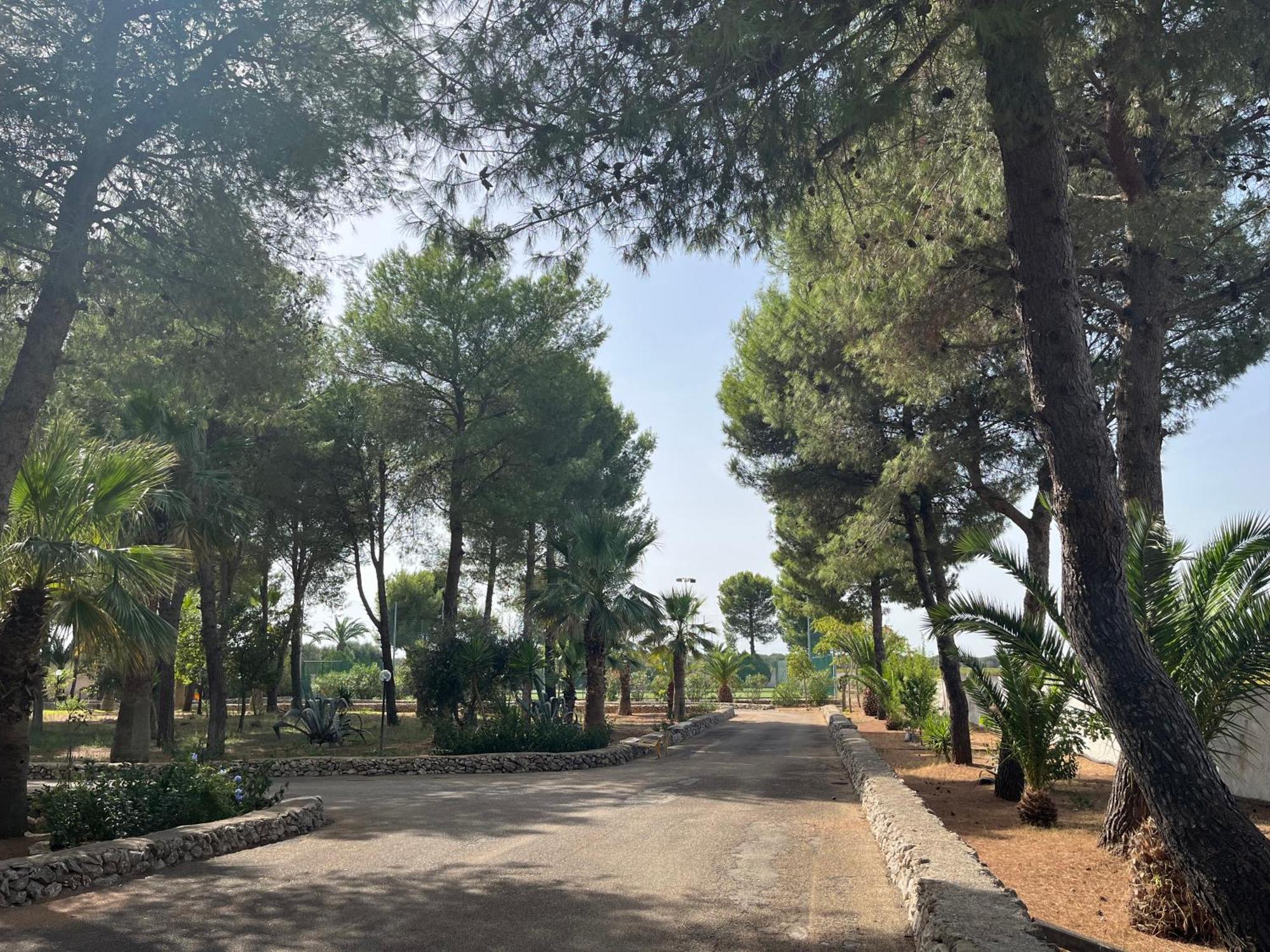 Casette Masseria La Camardia Sava Eksteriør billede