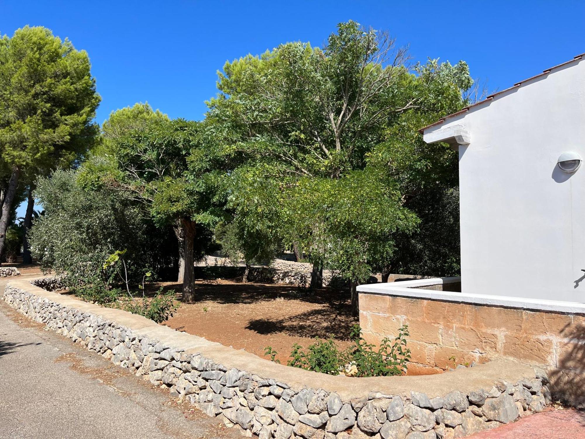 Casette Masseria La Camardia Sava Eksteriør billede