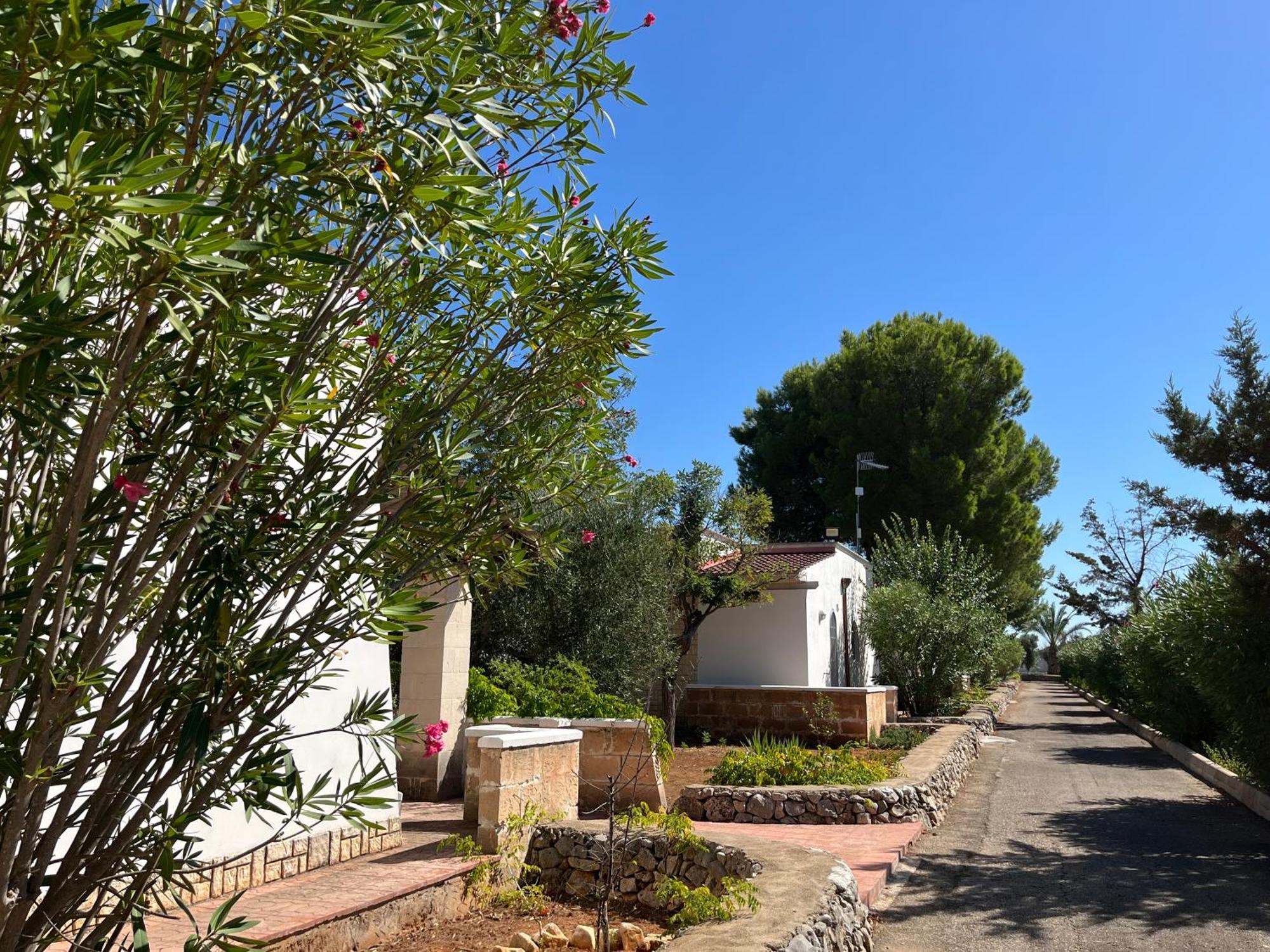 Casette Masseria La Camardia Sava Eksteriør billede